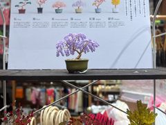 -伊东屋(本店)