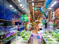 -双季花艺园艺市场(浦东店)