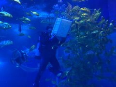 -太平洋海底世界