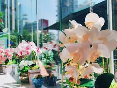 -妙井の茶(罗湖地王店)
