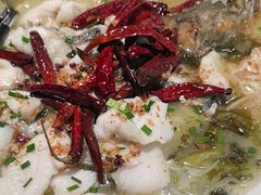 -宋小谨(惠安禹洲店)