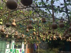 -百里峡七彩艺术小镇