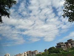 -米岗农庄
