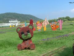 -苏州太湖西山岛开心农场