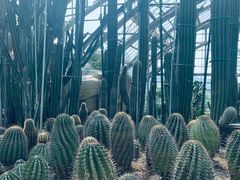 -南山植物园
