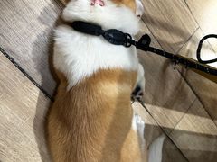 -天井·丑面包搭咖啡