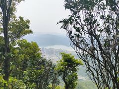 -梧桐山风景名胜区