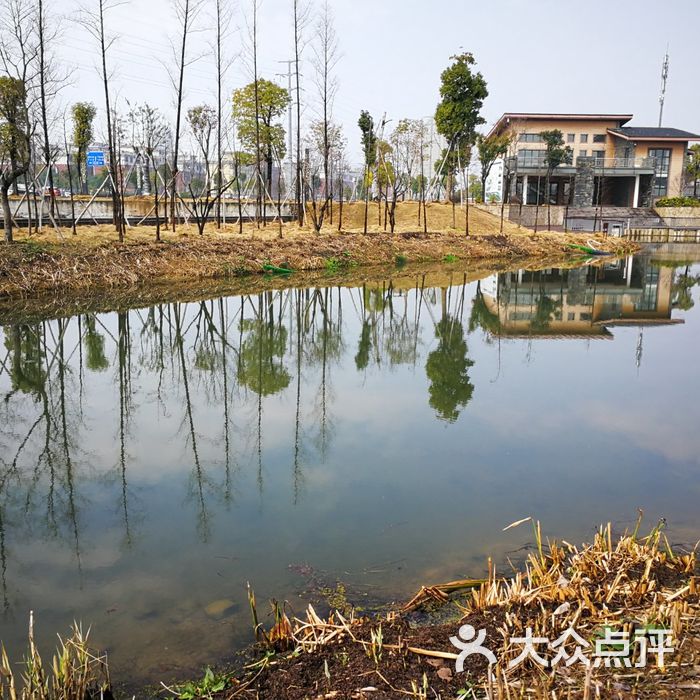 东阳市江滨景观带湿地公园景点图片-北京公园-大众点评网