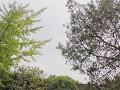 -遵义米粉川菜馆(木渎镇店)