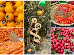 -周口店坡峰岭风景区