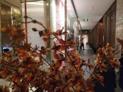 -盘子女人坊古装写真摄影(南京总店)