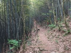 -许家山