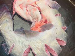 -满兴咱妈烀饼铁锅炖(兰州北街店)