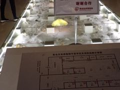 -青岛贝壳博物馆