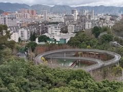 -福道