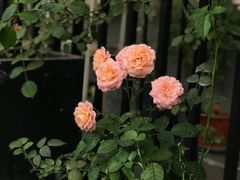-边渡咖啡烘焙店(昙华林店)