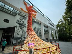 -苏州太湖国家湿地公园