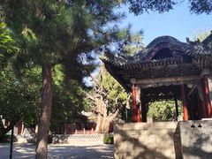 -晋祠公园