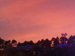 -顺德君豪酒店(佛山容桂渔人码头店)