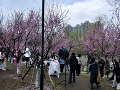 -堤角公园