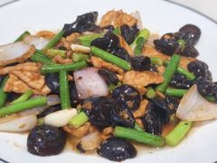 -初晋·山西地道刀削面.晋北莜面香(星耀城店)