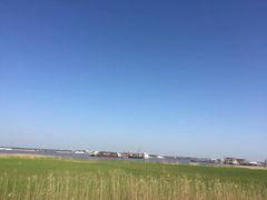 -上海长兴岛郊野公园