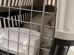 -佳怡动物医院·平价24小时·猫专科骨外科