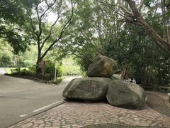 -白云山风景名胜区