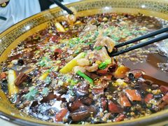 璧山兔-瓦房兔(璧山店)