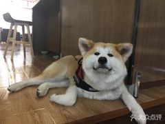-YCHL Studios健身工作室(市二宫店)