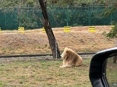 -秦皇岛野生动物园