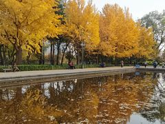 -玲珑塔公园