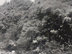-秦岭风景区