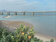 -海堤纪念公园