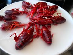 -红盔甲·小龙虾(人民广场店)