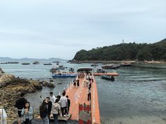 -杨梅坑