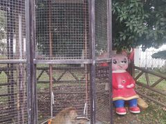 -武汉紫薇都市田园