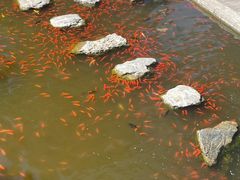 -红螺寺