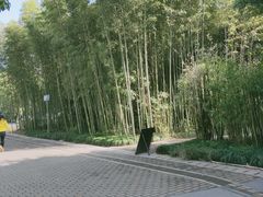 -苏州河梦清园环保主题公园