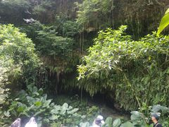-海口火山口国家地质公园
