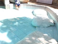 -碧水湾温泉