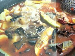 -肥鱼屯活鱼锅(惠工街店)