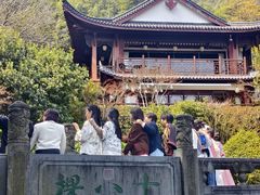 -十八棵（老龙井）御茶园(老龙井店)