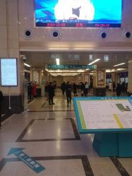 -河南中医药大学第一附属医院-医疗整形