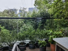 -恬阿姨庭院餐厅·生日宴