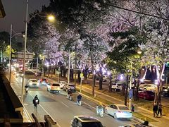 -高记惠州风味楼(惠城店)