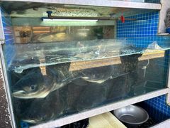 -全乐鱼馆·淳牌有机鱼直营店