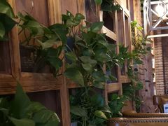 -玖壹咖啡(临河街店)