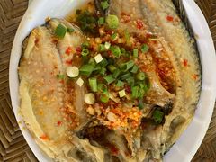 -晓雯人家