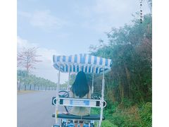 -露天矿生态公园